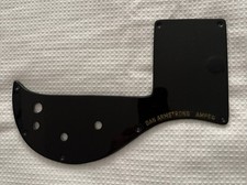 Battipenna AMPEG Dan Armstrong