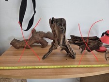 mangrovia radice naturale  terrario acquario tronco legno VERO  pesci Rettili