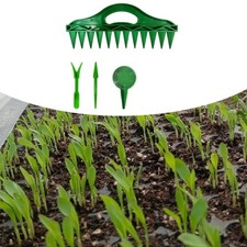 Set Spandisemi per Semina