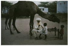 Carte postale Jodhpur India 1996 Mc Curry 2001 Phaidon Press Limited