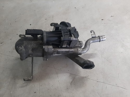 Radiatore egr pierburg per - radiatore,