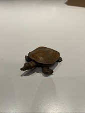 Bronzo dipinto a freddo