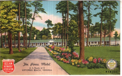 Linen postcard the pines - ,