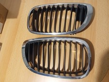 Griglia Cofano BMW E46 Coupé 320 Cd Del 2004
