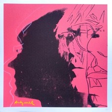 Andy warhol litografia - warhol,