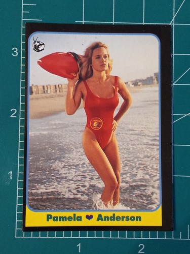 1993 pamela lee - pamela,
