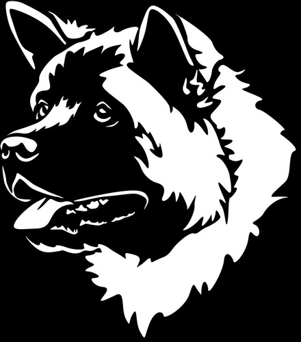 Adesivo american akita - adesivo,