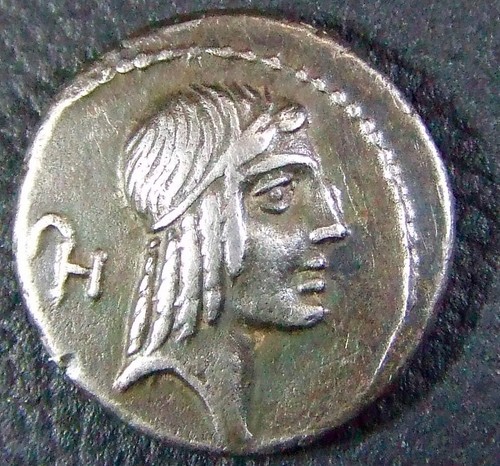 Calpurnia lucius - calpurnia, a.c.)