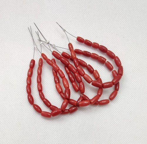 Autentico corallo rosso