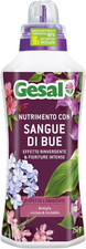 Nutrimento Con Sangue Di Bue
