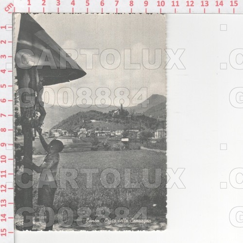 G8884 belluno lamon - belluno,