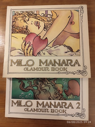 Lot artbooks érotiques - lot,