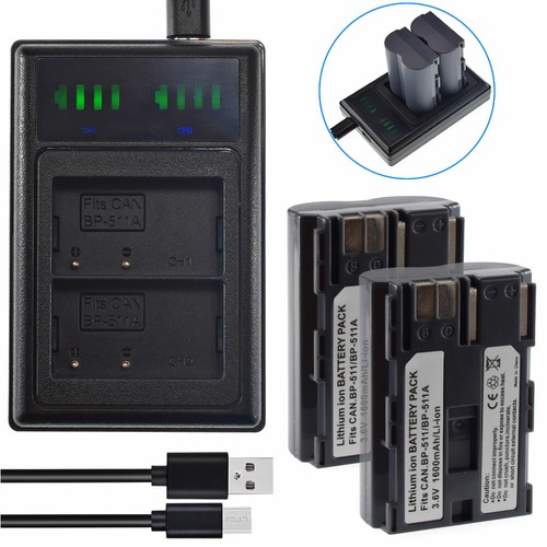 Batteria caricabatterie - 2x,