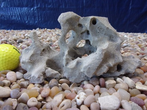 Texas holey rock - texas/tn,