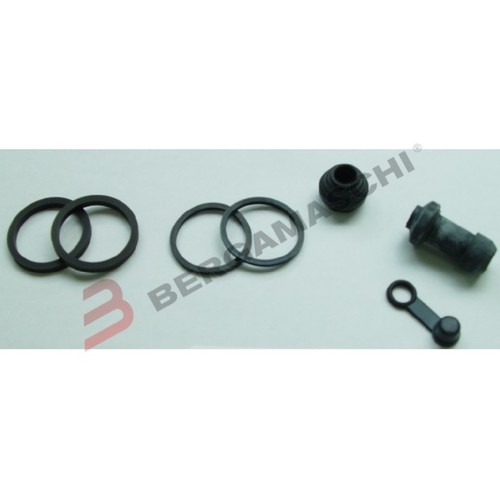 Revisione pinza freno - revisione,