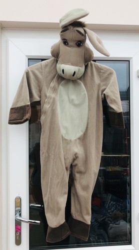 Raro costume coccinella - costume, da