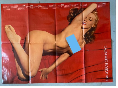 Calendario playboy 1983 poster - calendario,