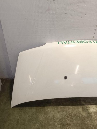 59232034 cofano fiat ducato - fiat, 2e