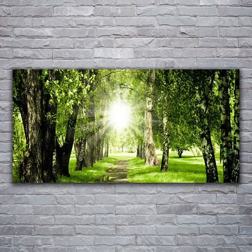 120x60 stampa tela - 120x60,