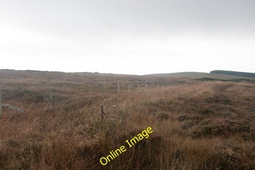 Photo 6x4 fence and old - photo,