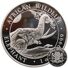 Elefante della Somalia 2023 moneta d'argento 1 oz argento Ag 999,9 fauna selvatica africana *
