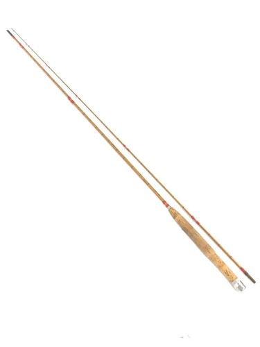 Canna bambù resistente 232 - canna,