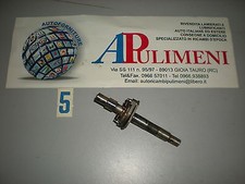 ALBERINO SPINTEROGENO FIAT 600