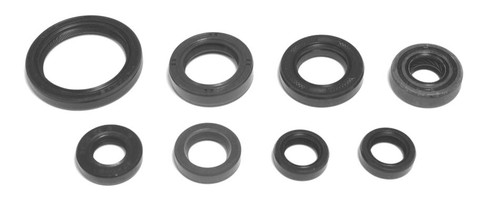 Kit guarnizioni olio motore