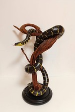 Taxidermy cabinet de - cabinet,