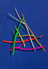 OMAR RONDA ( Portula Biella 1947 - 2017) Opera Grafica Serigrafia Chimere 100x70