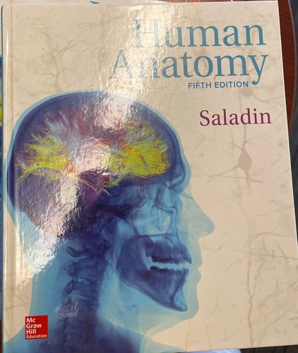 Human anatomy kenneth - anatomy,