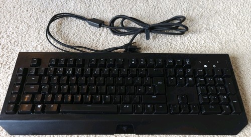Razer blackwidow chroma rgb - razer, v2