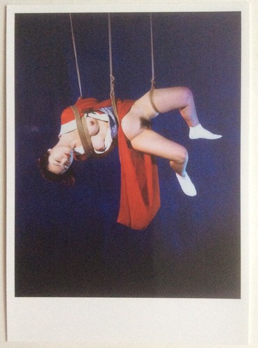 Nobuyoshi araki carton d - nobuyoshi,