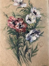 Bella disegno acquerello - bella,