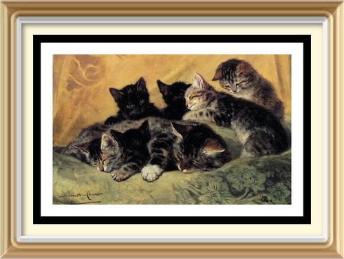 Henriette ronner knip - ronner-knip, cat