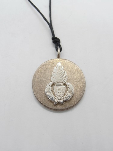 Polizia penitenziaria - polizia,