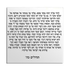 Calamita Frigo Salmi Capitolo