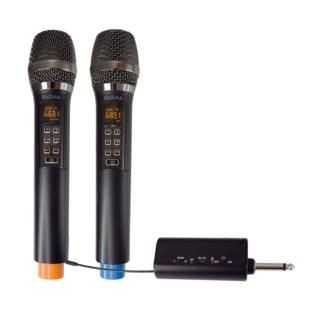 Doppio radiomicrofono karaoke - doppio,
