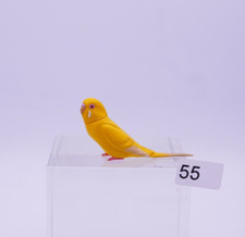 Kaiyodo Budgie pappagallo animale uccellino figura Giappone