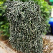 Ghillie Camouflage Layout