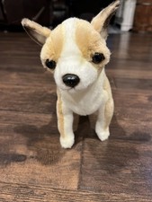 Hansa chihuahua cucciolo - chihuahua,