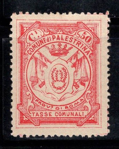 Palestrina nuovo 100 - palestrina,