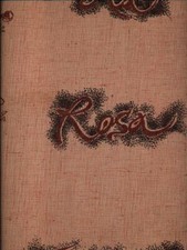 Rosa verticale prima - rosa,