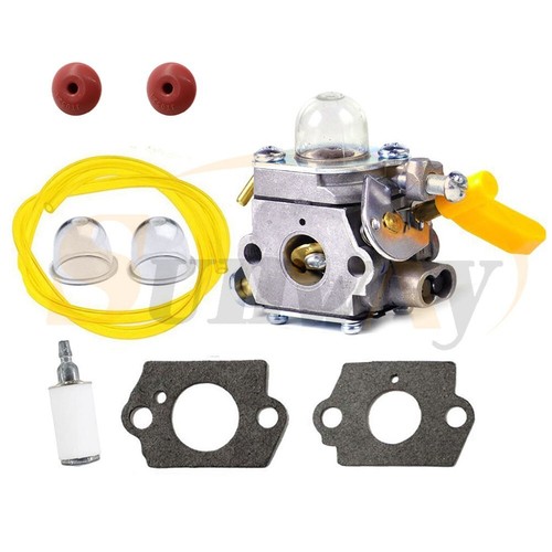 Carburatore per rbc30sesa - carburatore,