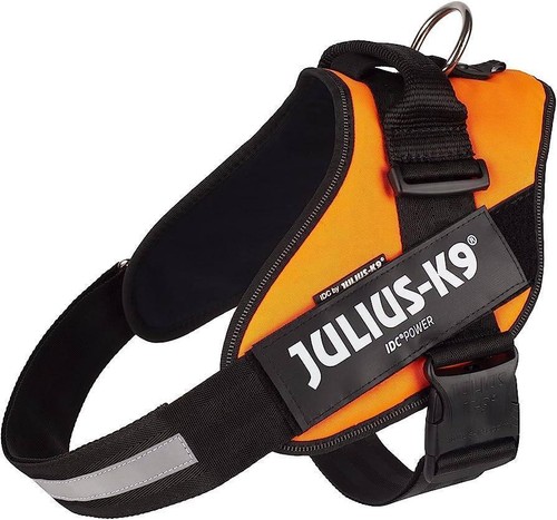 Julius pettorina idc power - julius,