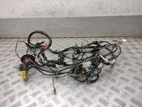 Cablaggio piaggio et4 2003 - et4,