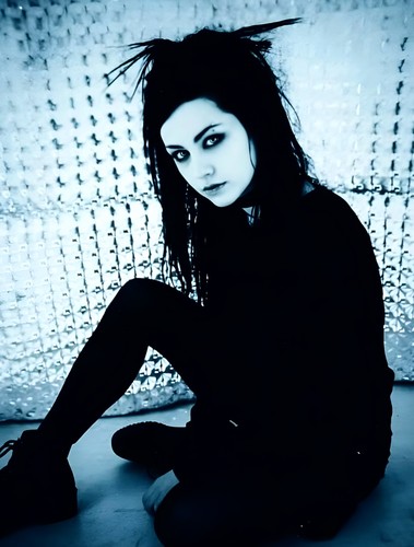 Poster 11x14 evanescence - poster, band