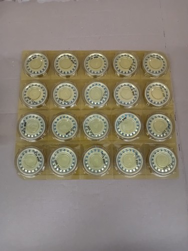 Una capsula microfonica - una,