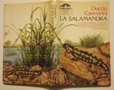 D.Canestrini.la Salamandra