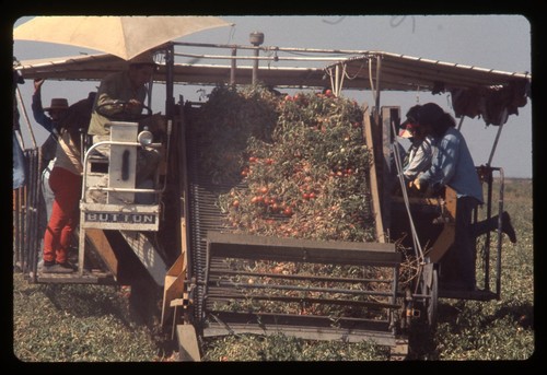 Sl25 slide 1980 - slide, omaha